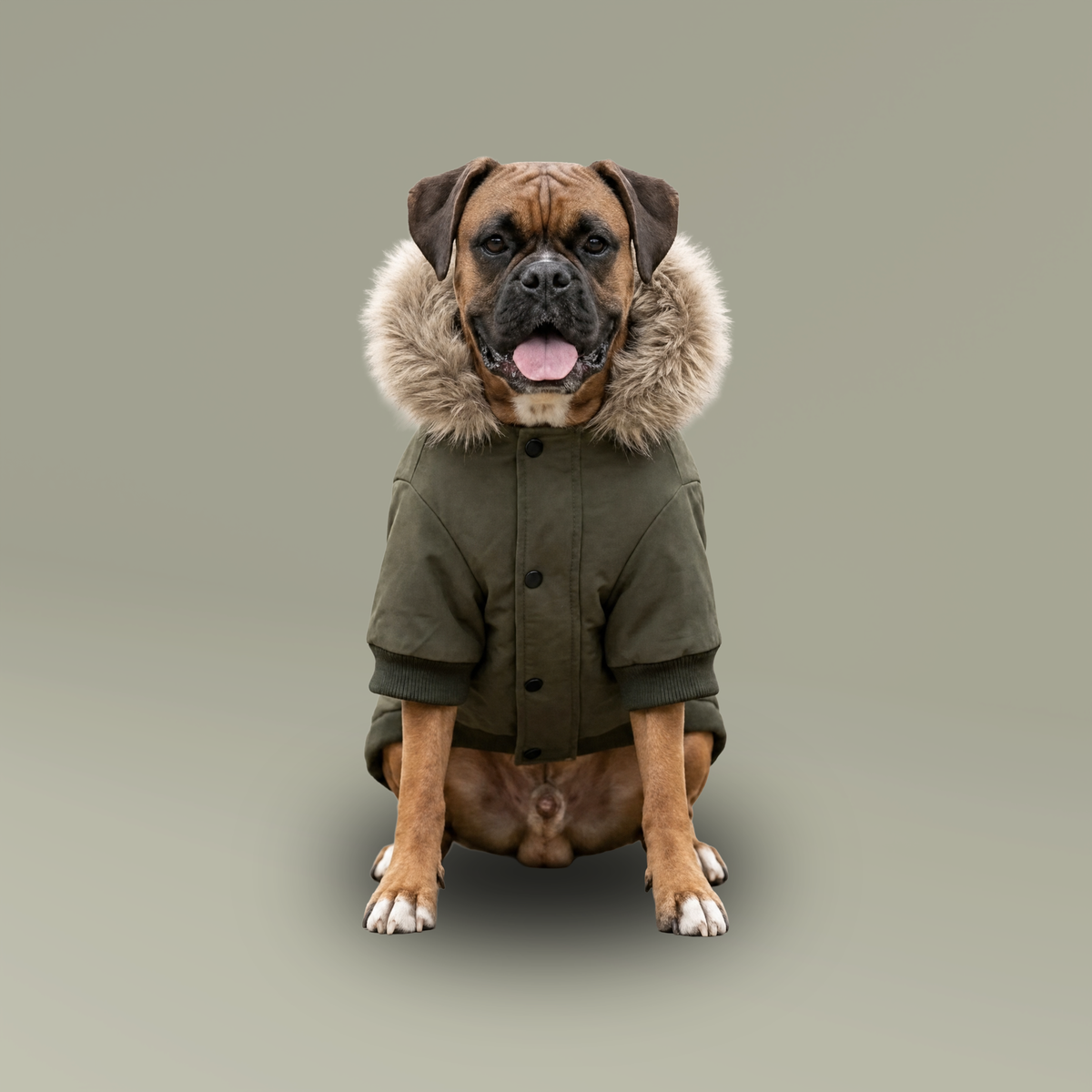 Pet Parka Jacket - Dog Winter Jacket